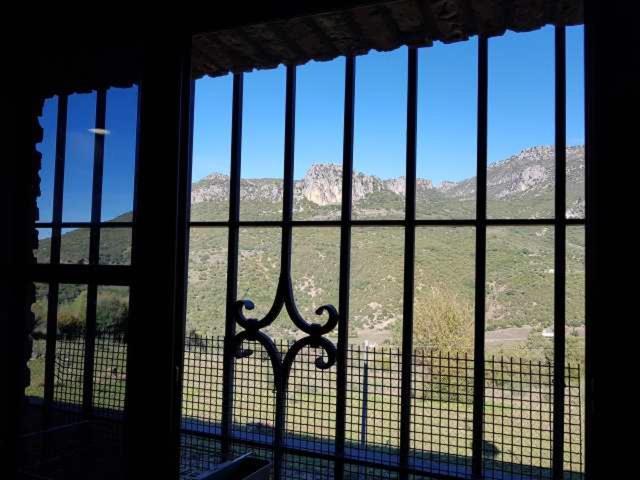 Vivienda Rural Casa Sofia Βίλα Ubrique Εξωτερικό φωτογραφία