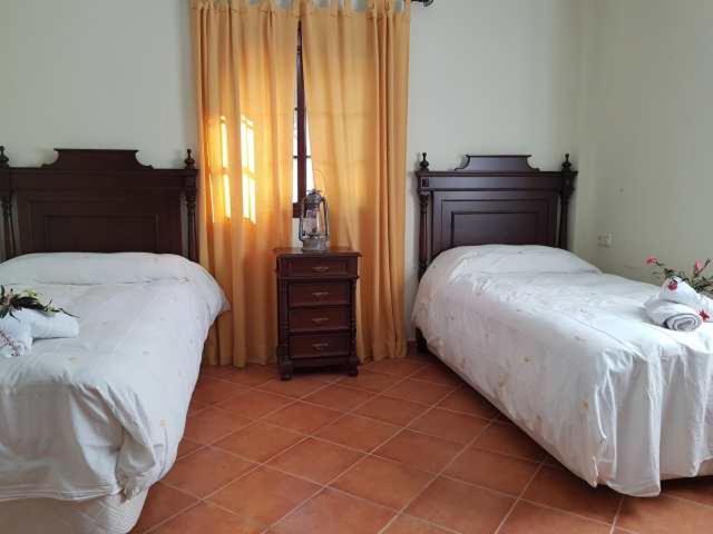 Vivienda Rural Casa Sofia Βίλα Ubrique Εξωτερικό φωτογραφία